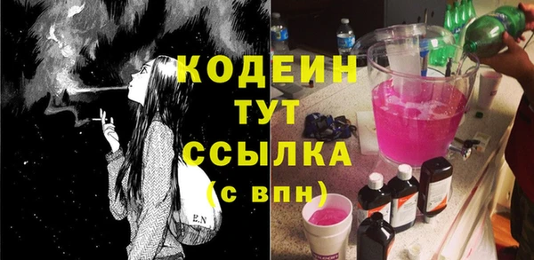 хмурый Арсеньев