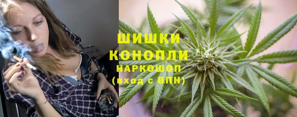 хмурый Арсеньев