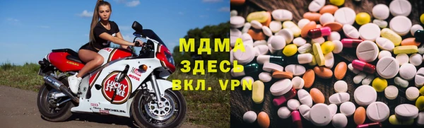 хмурый Арсеньев