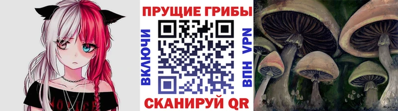 Псилоцибиновые грибы мицелий купить Изобильный